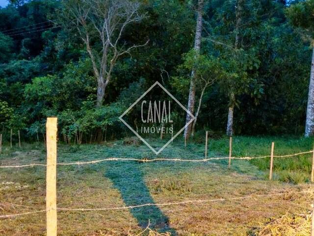 Venda em Jardim das oliveiras - São Lourenço