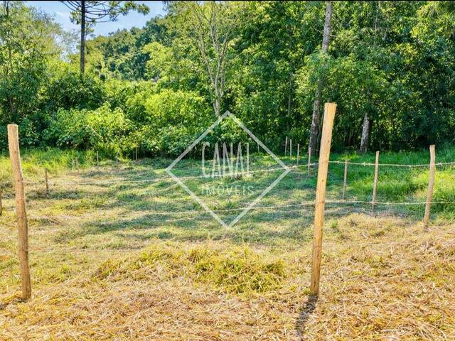 #135 - Terreno para Venda em São Lourenço - MG - 3