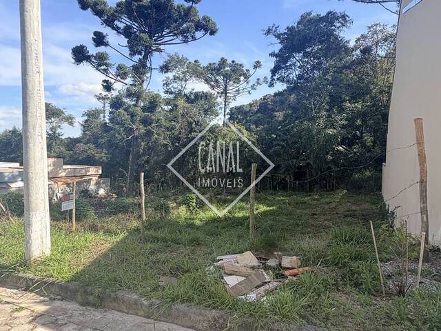 Terreno para Venda em São Lourenço - 2